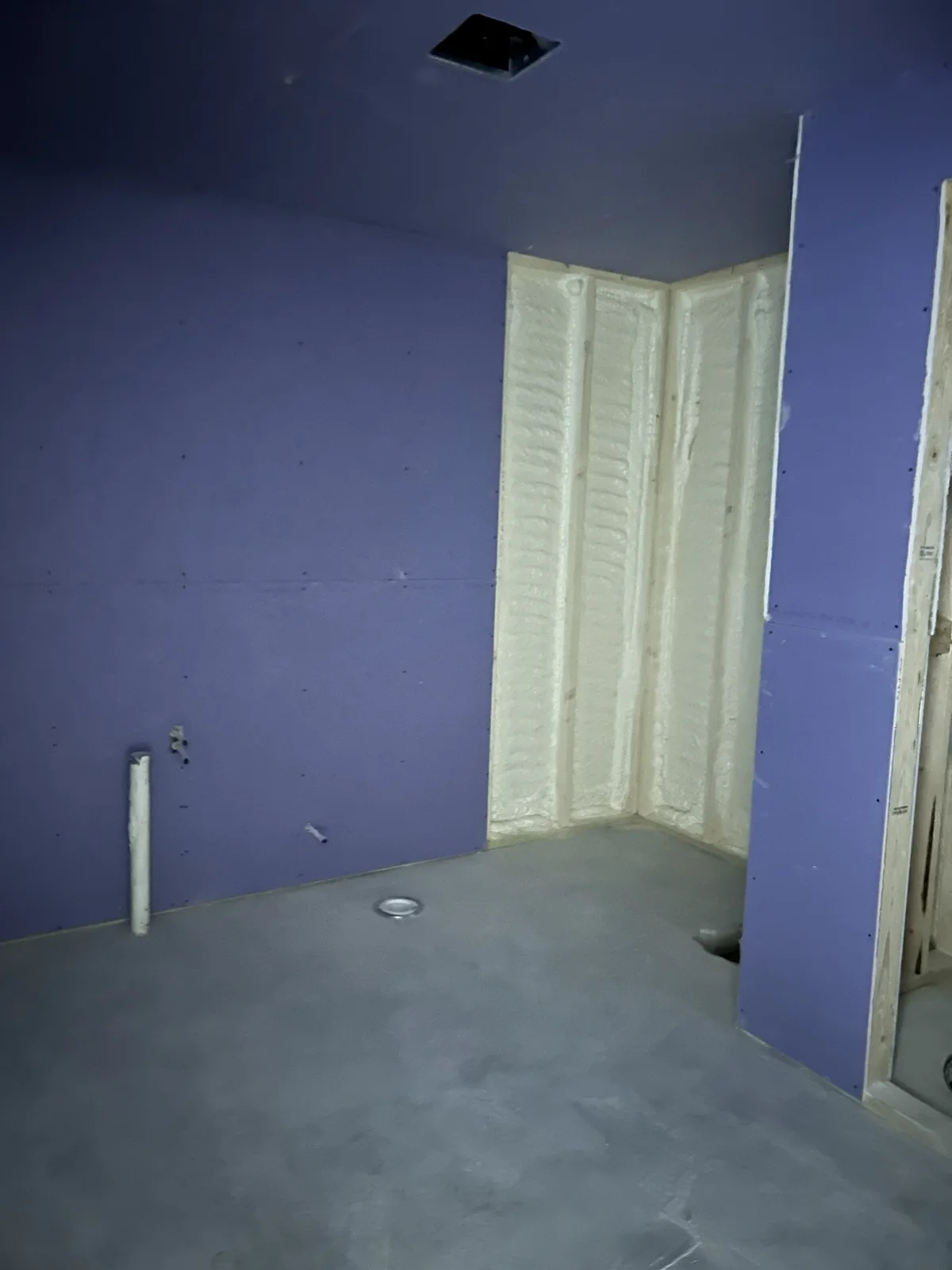 Purple Board for the basement bathroom